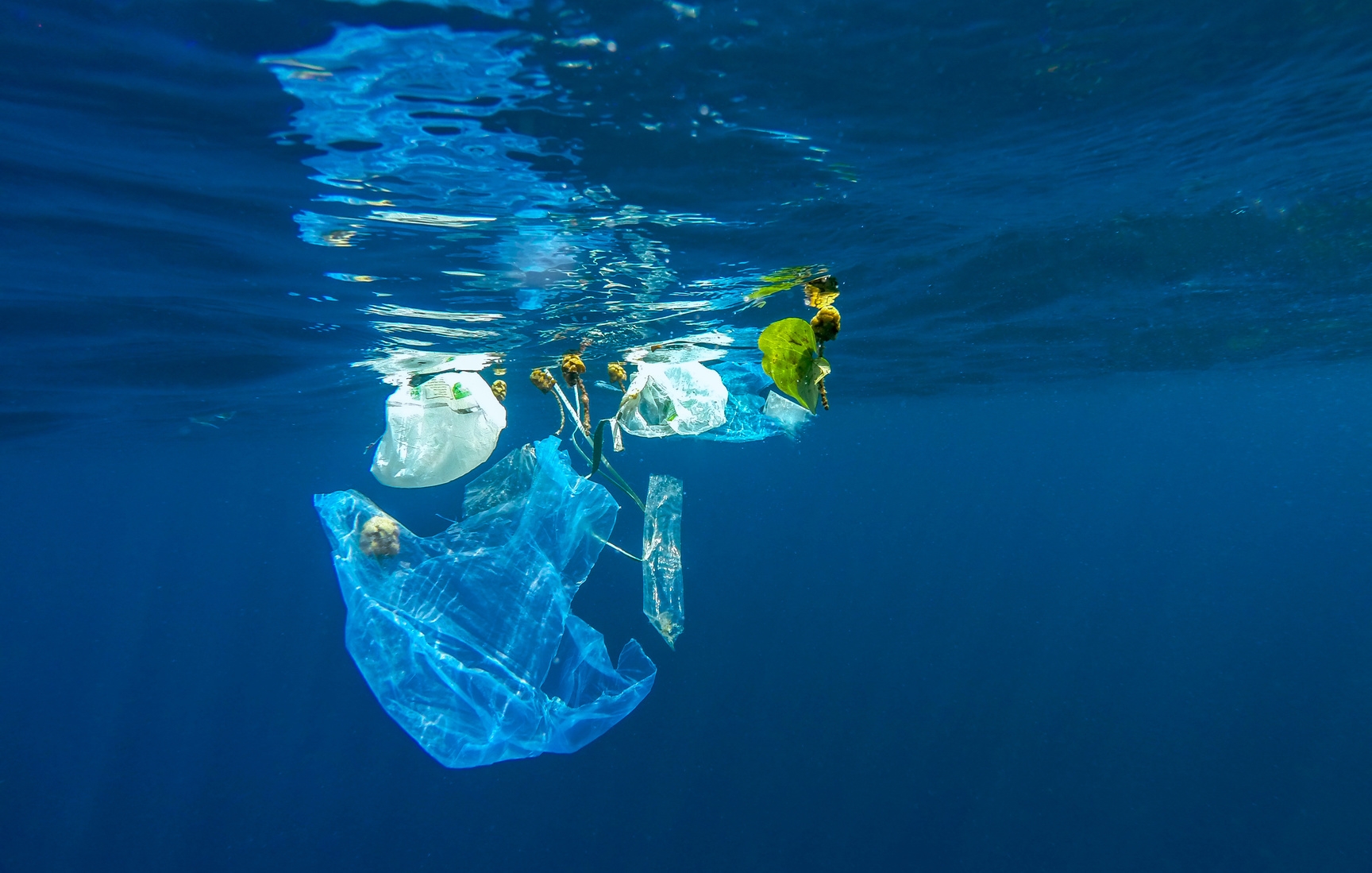 Plastica: gli interrogativi, l’origine e il riciclo alternativo