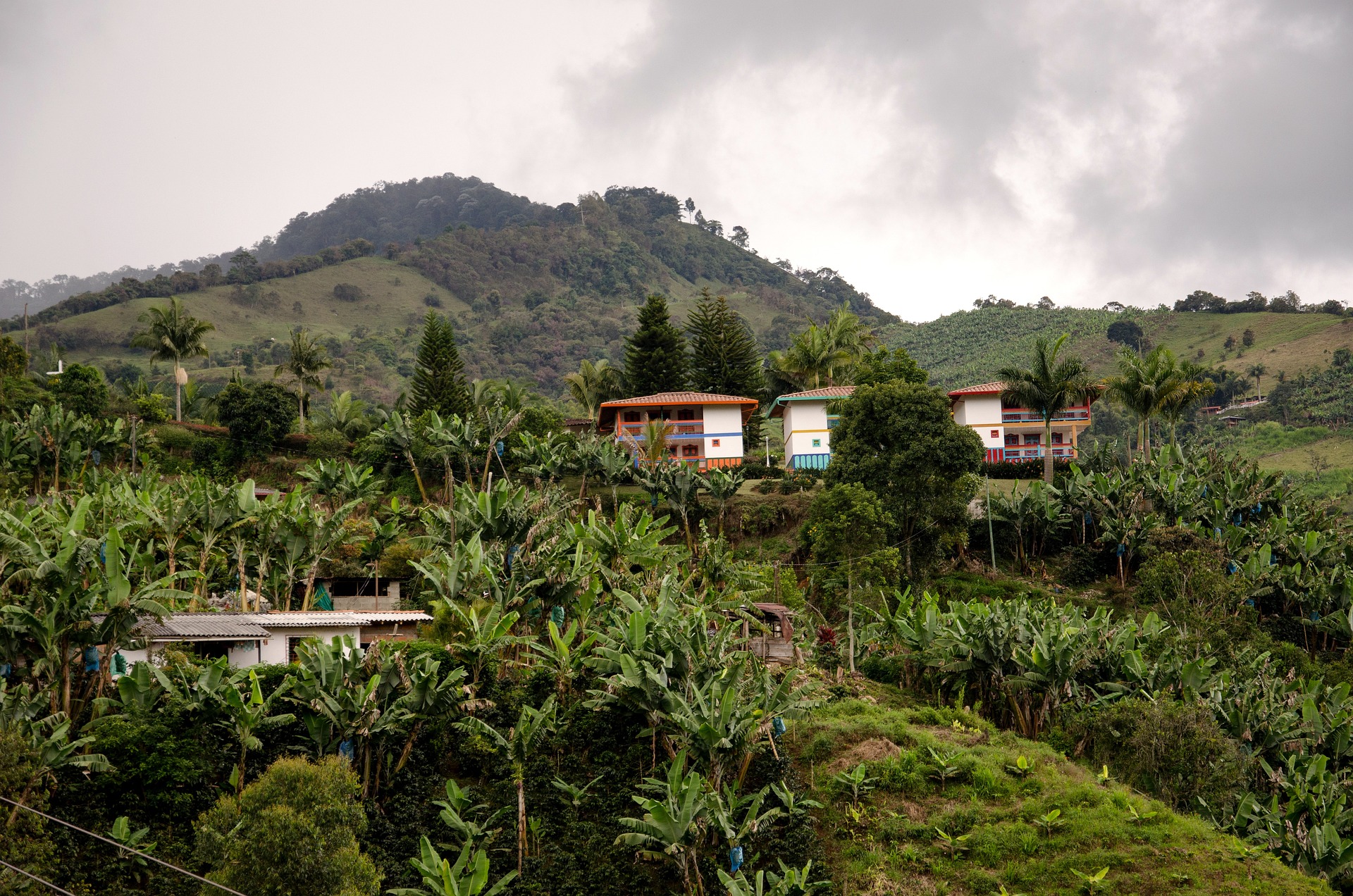 Finca Marta, la campagna che ride e piange